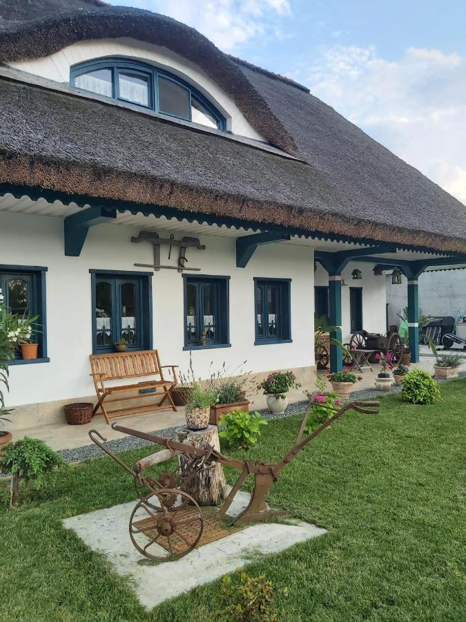 Agropensiunea Beluga Farm stay *