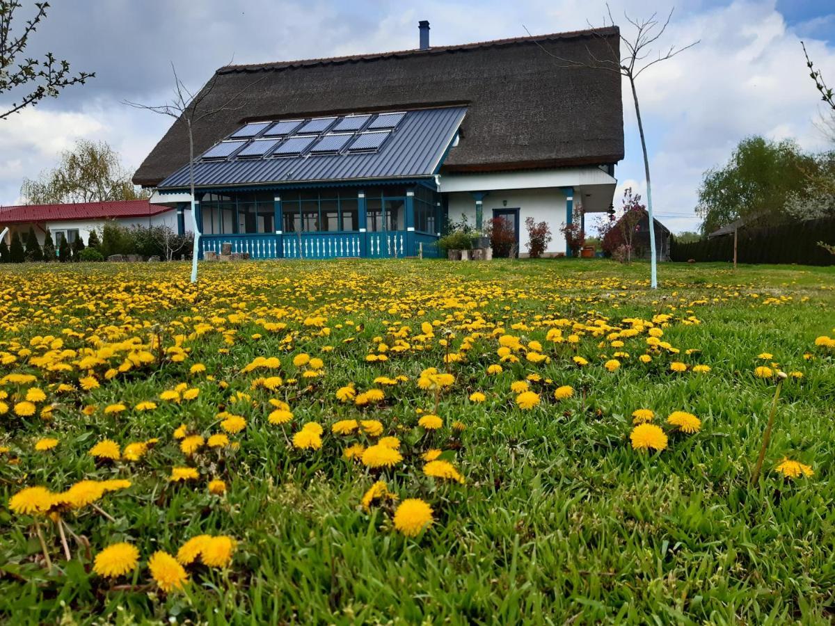 Agropensiunea Beluga Gorgova
