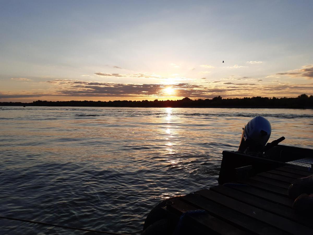 Agropensiunea Beluga Farm stay Gorgova